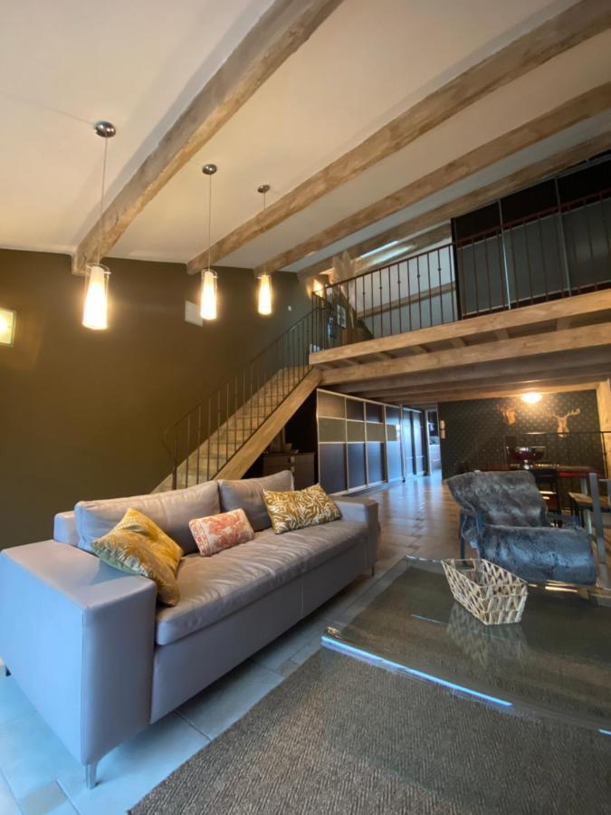 Le Loft Duplex, 2 Terrasses, Au Coeur Du Village Сен-Ремі-де-Прованс Екстер'єр фото